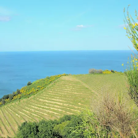 Beautiful In 塔武利亚