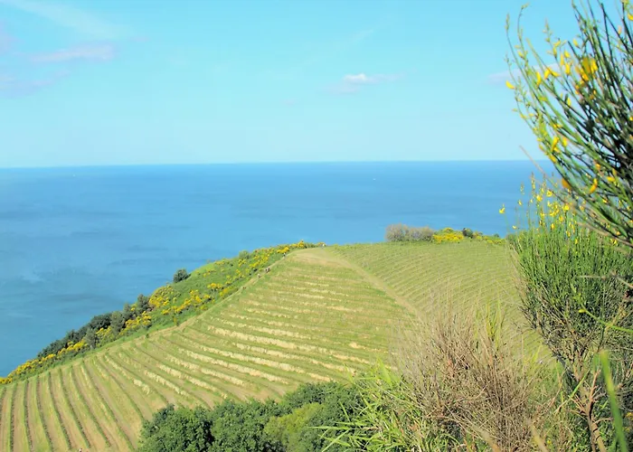 Beautiful In Tavullia